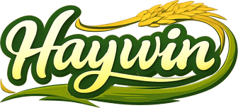 Logo haywin – trang chủ